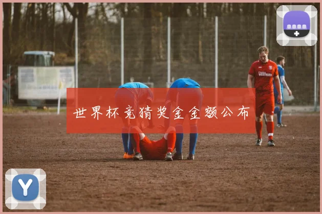 世界杯竞猜奖金金额公布